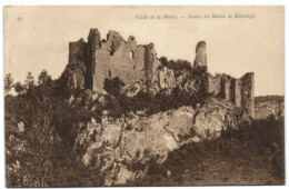 Vallée De La Meuse - Ivoire  Les Ruines De Montaigle - Onhaye