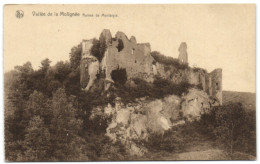 Vallée De La Molignée - Ruines De Montaigle - Onhaye