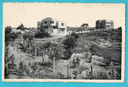 * Oostduinkerke (Kust - Littoral) * (Nels, Ern Thill, Nr 70) Villas Dans Le Bouquet Des Dunes, Vue Générale, Duinen - Oostduinkerke