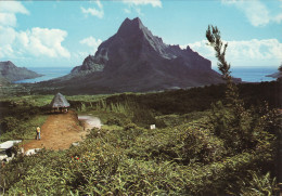 Moorea - La Baie D'Opunohu, à Gauche Le Mont Rotui Et La Baie De Cook à Droite - Französisch-Polynesien