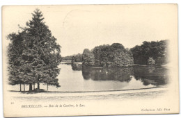 Bruxelles - Bois De La Cambre - Le Lac - Elsene - Ixelles