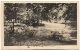 Forêt De Soignes - Etang De L'Ermite - Oudergem - Auderghem