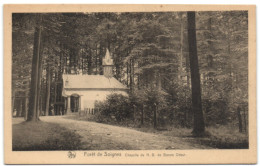 Forêt De Soignes - Chapelle De N.-D. De Bonne Odeur - Oudergem - Auderghem