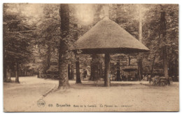 Bruxelles - Bois De La Cambre - Le Parasol - Elsene - Ixelles