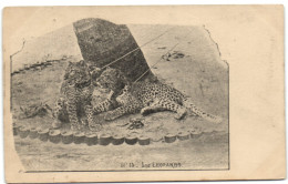 Guinée - Les Leopards - Guinée Française