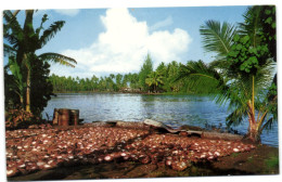 Préparation Du Coprah Devant La Splendide Baie De Mataiea - Tahiti