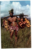 Tahiti - Retour D'un Porteur De Fruits - Tahiti