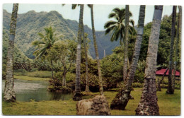 Tahiti - Cascade De Farauria - Tahiti