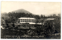 A General View Of Tea Estate Showing Factory - Ceylon - Sri Lanka (Ceylon)