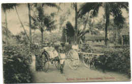 Bullock Hackery & Ginrickshaw - Colombo - Sri Lanka (Ceylon)