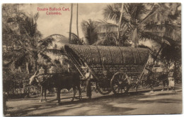 Double Bullock Cart - Colombo - Sri Lanka (Ceylon)