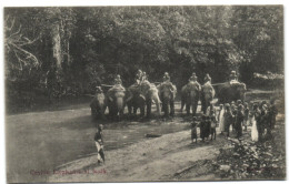 Ceylon Elephants At Work - Sri Lanka (Ceylon)