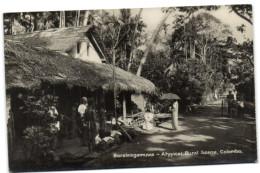 Boralesgamuwa - Atypical Rural Scene - Colombo - Sri Lanka (Ceylon)