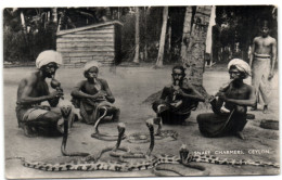 Snake Charmers - Ceylon - Sri Lanka (Ceylon)