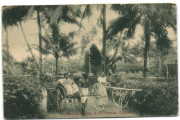 Bullock Hatkery & Ginrickshaw - Colombo - Sri Lanka (Ceylon)