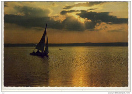 NEUSIEDLERSEE - Romantische Segelschiff-Fahrt - Neusiedlerseeorte