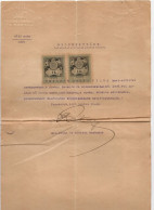 1902. ROMÂNIA,HUNGARY,TIMIȘOARA,CERTIFICATE,2 X 1 K. REVENUE STAMPS - Sonstige & Ohne Zuordnung