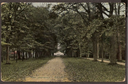 Baarn - 1910 - Huize 'Groeneveld - Met Wandelaars In Het Bos - Baarn