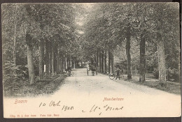 Baarn - Noorderlaan Met Koets En Fietsers, Geannimeerd - 1905 - Uitg. J. Den Boer - Baarn