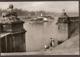 Dresden - Pillnitz - Blick Von Der Treppe Mit Raderboot, Avec Bateau De Rader, Rader Boat - Pillnitz