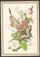 Papillon, Butterfly, Schmetterlinge, Farfalle, Mariposa, Vlinder - Papillons