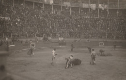 CARTE PHOTO    CARTAGENA  CORRIDA   MISE A MORT  VOIR   VERSO  LIBRERIA CASAU MAYOR 13  CARTAGENA - Murcia