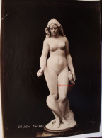 Photo 1880's Tirage Albuminé Albumen Print Vintage Art Sculpture EVE Hielle - Old (before 1900)