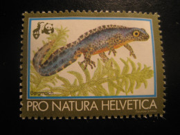 BERGMOLCH Alpine Newt Amphibians WWF Panda Bear Poster Stamp Vignette SWITZERLAND Label Pro Natura Helvetica - Other & Unclassified