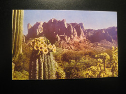 SUPERSTITION Mountain Arizona Apache Trail Saguaro Flower Cactus Postcard USA - Autres & Non Classés