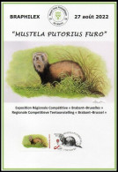 DUOSTAMP/ MYSTAMP° - Carte Souvenir/Herdenkingskaart - Furet / Fret / Frettchen / Ferret / Mustela Putorius Furo - BUZIN - Cartas & Documentos