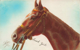 Chaval - Peintures Et Tableaux - Une Tête De Cheval - Carte Postale Ancienne - Pferde