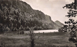 FRANCE - Jura Touristique - Les Lacs Du Maclus - Carte Postale Ancienne - Andere & Zonder Classificatie