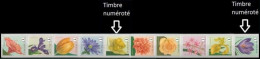 R144**(4653/4662) - Fleurs/Bloemen (bande 6 - 10 Timbres Différents, Num./ Band 6 - 10 Verschillende Zegels, Genum) - Coil Stamps