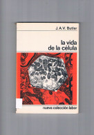 La Vida De La Celula Butler Labor 1973 - Other & Unclassified