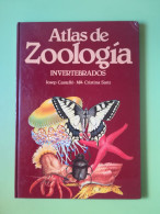 Atlas De Zoologia Invertebrados Josep Castello Edibook 1988 - Sonstige & Ohne Zuordnung