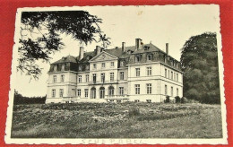 SCHEPDAEL -  " Levenlust "  -  De Zuidgevel Van Het Kasteel  -  La Façade Sud Du Chateau - Dilbeek