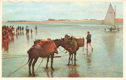 PHOTOGRAPHIE -Scène De Plage - Colorisé - Carte Postale - Photographie