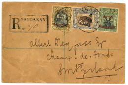 NORTH BORNEO  : 1903 2c + 6c + 10c Canc. SANDAKAN On REGISTERED Envelope To SWITZERLAND. Vvf. - Bornéo Du Nord (...-1963)