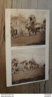 CAMBODGE : Les éléphants Du Palais  ................ A-9134 - Cambodge