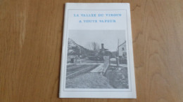 LA VALLEE DU VIROIN A TOUTE VAPEUR Régionalisme Train C F V 3 Vallées Mariembourg Olloy Nismes Treignes Vierves - Ferrocarril & Tranvías