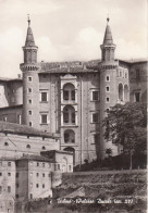 URBINO - PALAZZO DUCALE ED I TORRICINI - V1968 - Urbino