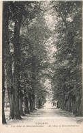 FRANCE - Langres - Une Allée De Blanchefontaine  - Carte Postale Ancienne - Langres