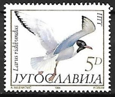 Yugoslavia - MNH ** 1984 : Black-headed Gull  -  Chroicocephalus Ridibundus - Mouettes