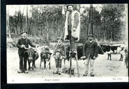 40 BERGERS LANDAIS  - SUPERBE - RCPA 11 - Autres & Non Classés