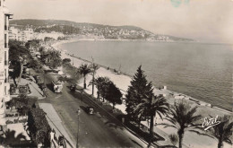 FRANCE - Nice - La Promenade Des Anglais Et La Pointe Du Mont Boron - Carte Postale Ancienne - Squares