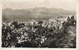 FRANCE - Cannes - Vue Générale - Carte Postale Ancienne - Cannes