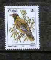 CISKEI, 1984 , MNH Stamp(s), Bird 11 Cent,  Michel 56, - Ciskei