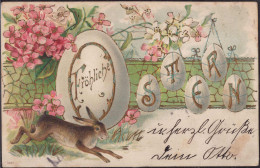 Gest. Ostern Hase Prägekarte 1903 - Ostern