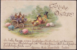 Gest. Ostern Küken 1898 - Pâques