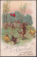 Gest. Ostern Hasen 1903 - Pasen